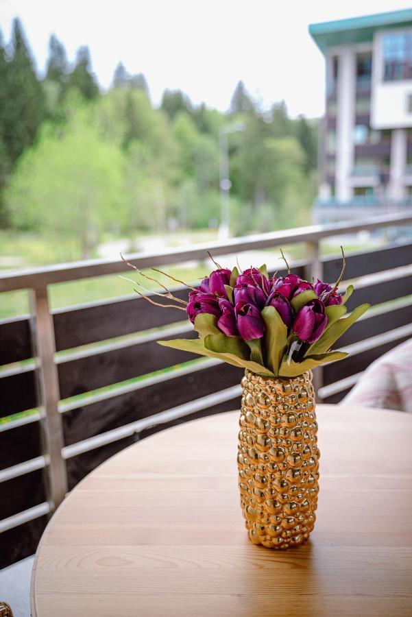 Silver Mountain Resort & Spa Poiana Brasov Exterior photo
